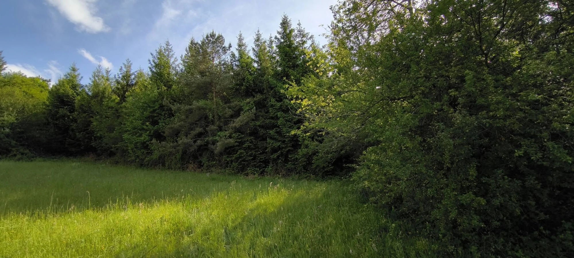 Valjevo, 120 ari, poljoprivredno zemljište