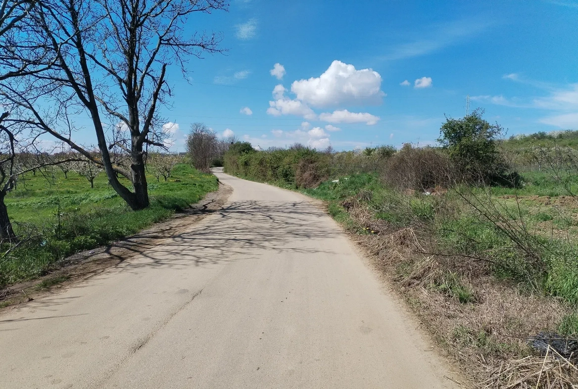 Vinča, 30 ari, poljoprivredno zemljište