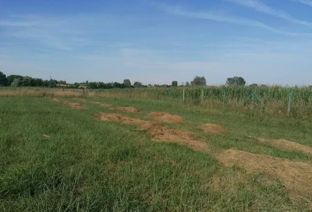 Kać, 180 ari, industrijsko poslovno zemljište