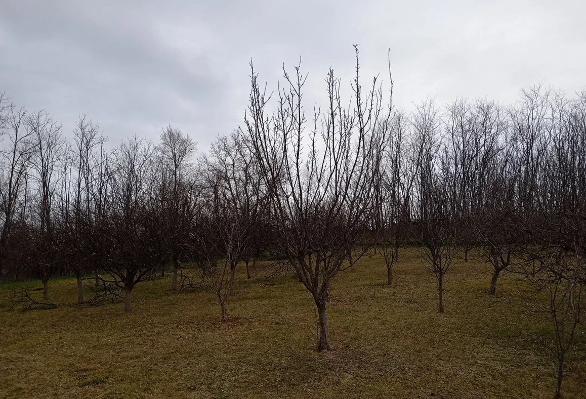 Obrenovac, 86 ari, građevinski plac